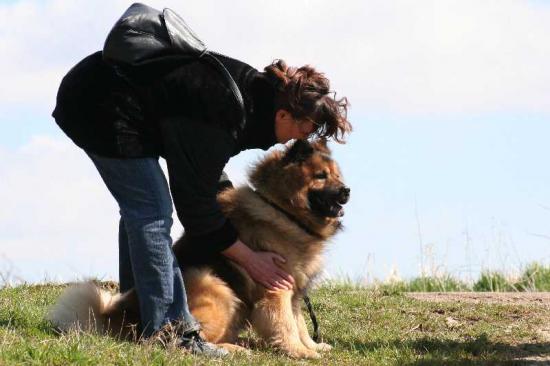 Eurasier-Spaziergang April 2006 - 11