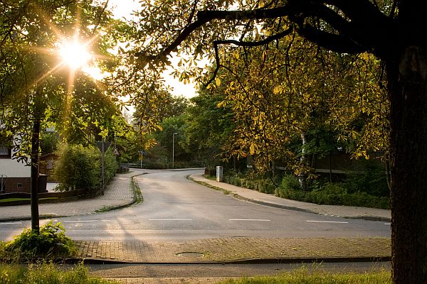 Sunset Street